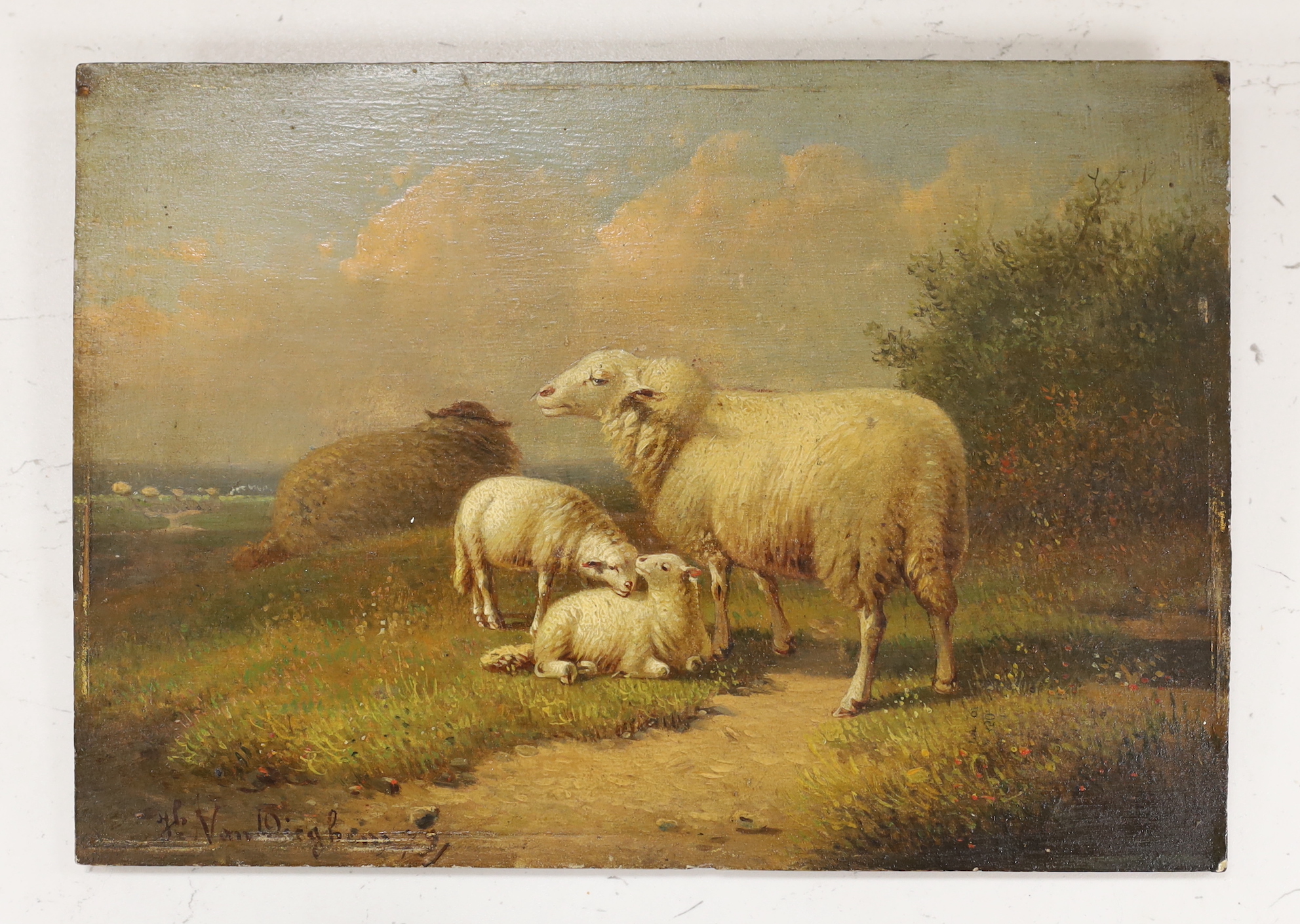 J.B. van Diegh (19th C. Dutch), oil on panel, Grazing sheep, signed, various inscriptions verso, unframed, 17 x 24cm